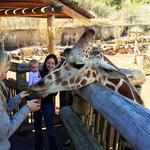 Cheyenne Mountain Zoo