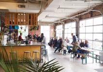 Seventh Son Brewing Co.