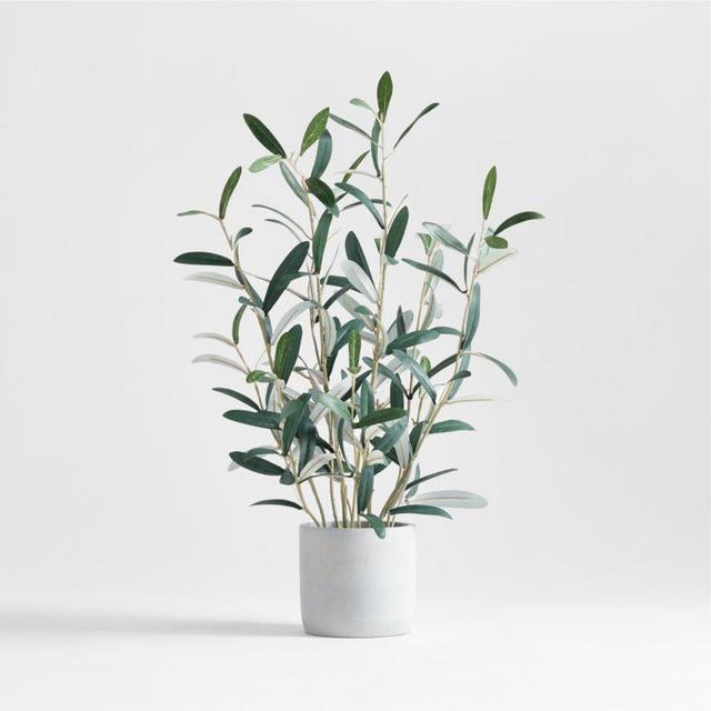 Potted Faux Olive Tree 22"
