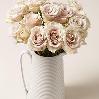 Hemlock Pitcher