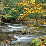 Moccasin Creek State Park