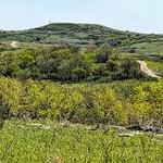 Konza Prairie Nature Trail