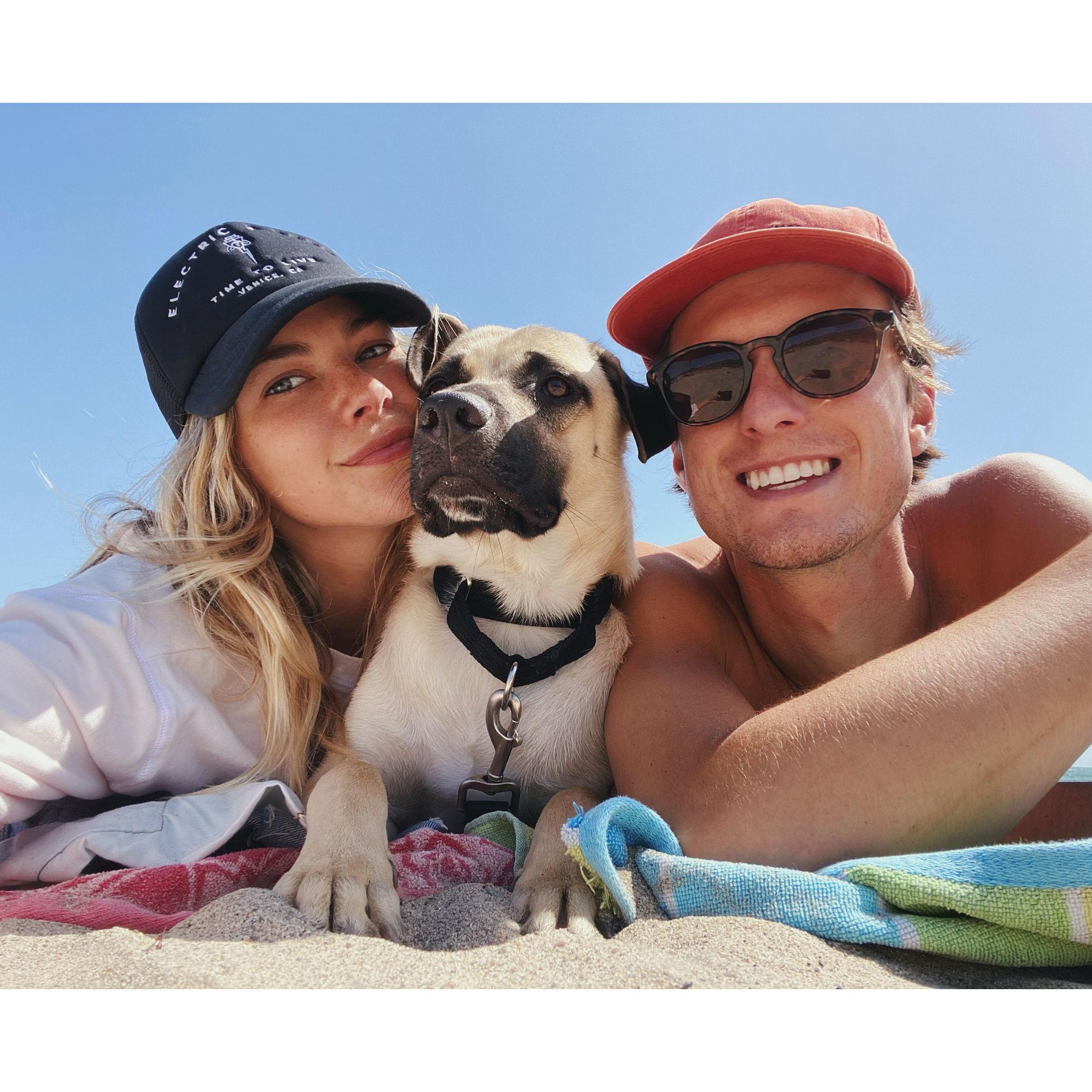 June 2020 - Our foster dog who we still think about to this day