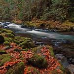 Old Salmon River Trail #742A