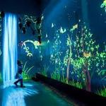Fort Collins Museum of Discovery