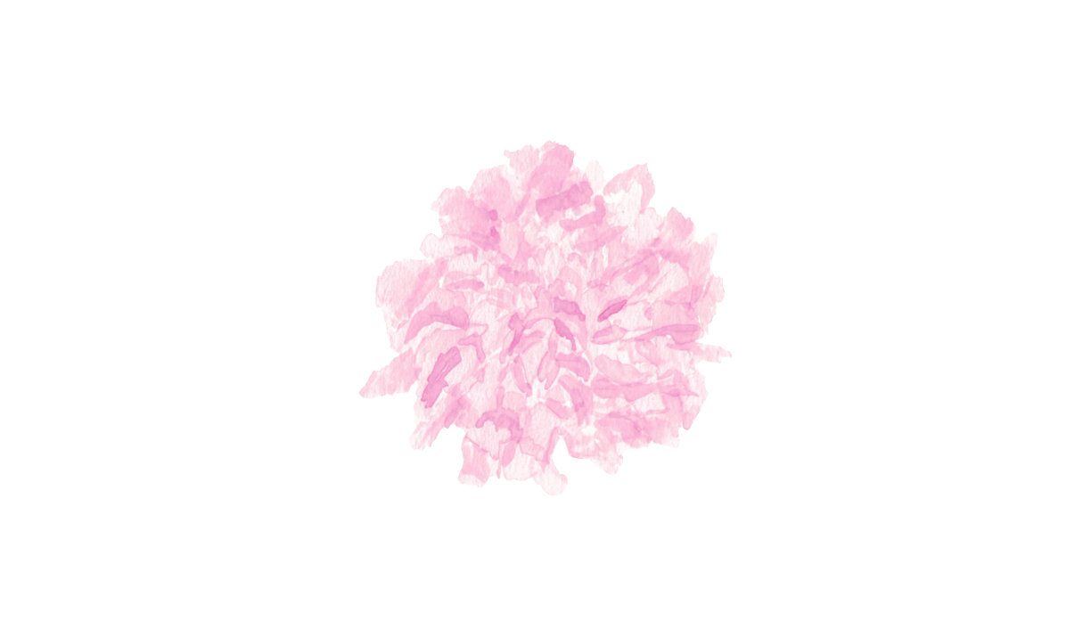 Footer image