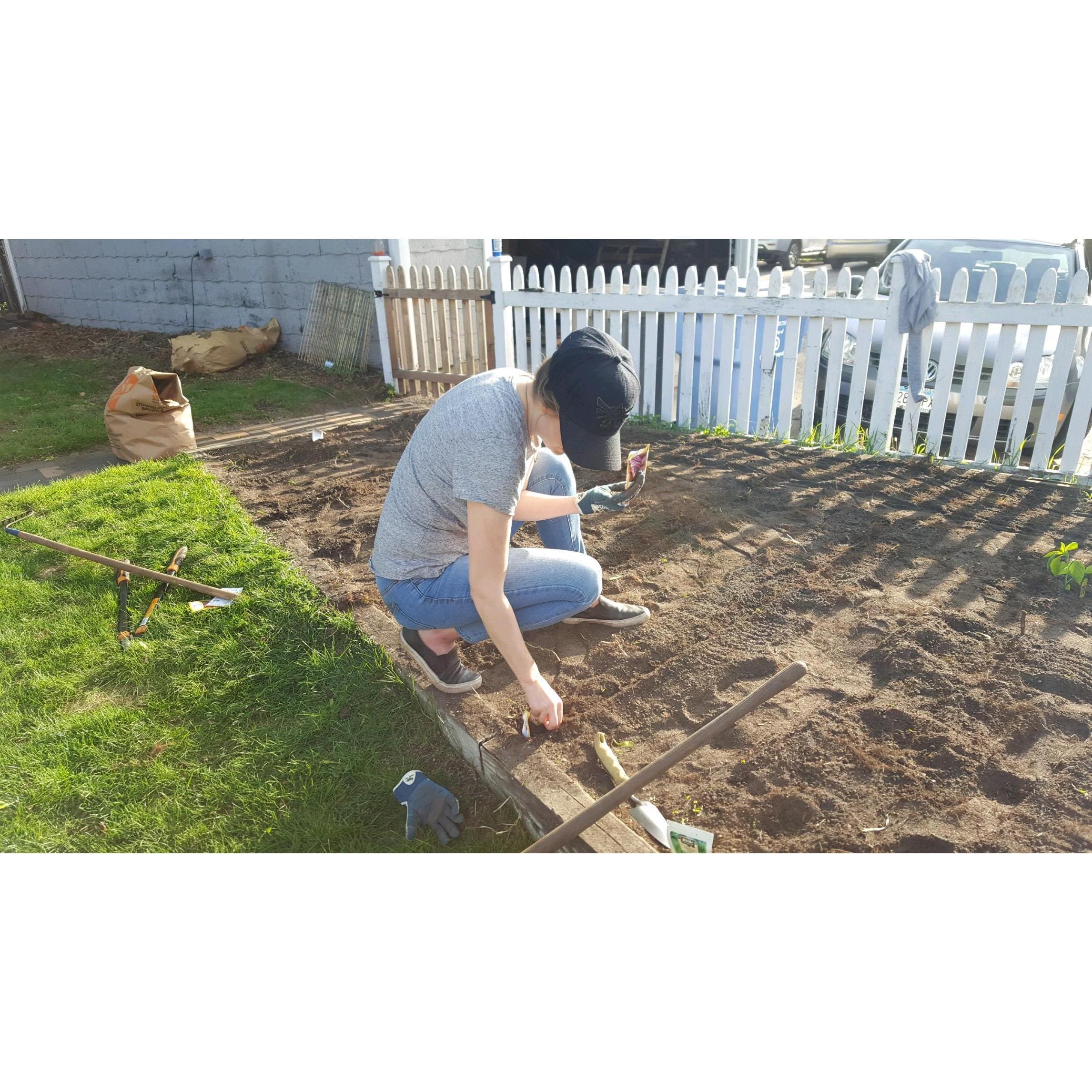 Gardening attempt, summer 2017