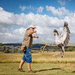 Dullstroom Bird of Prey & Rehabilitation Centre