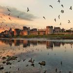 King John's castle