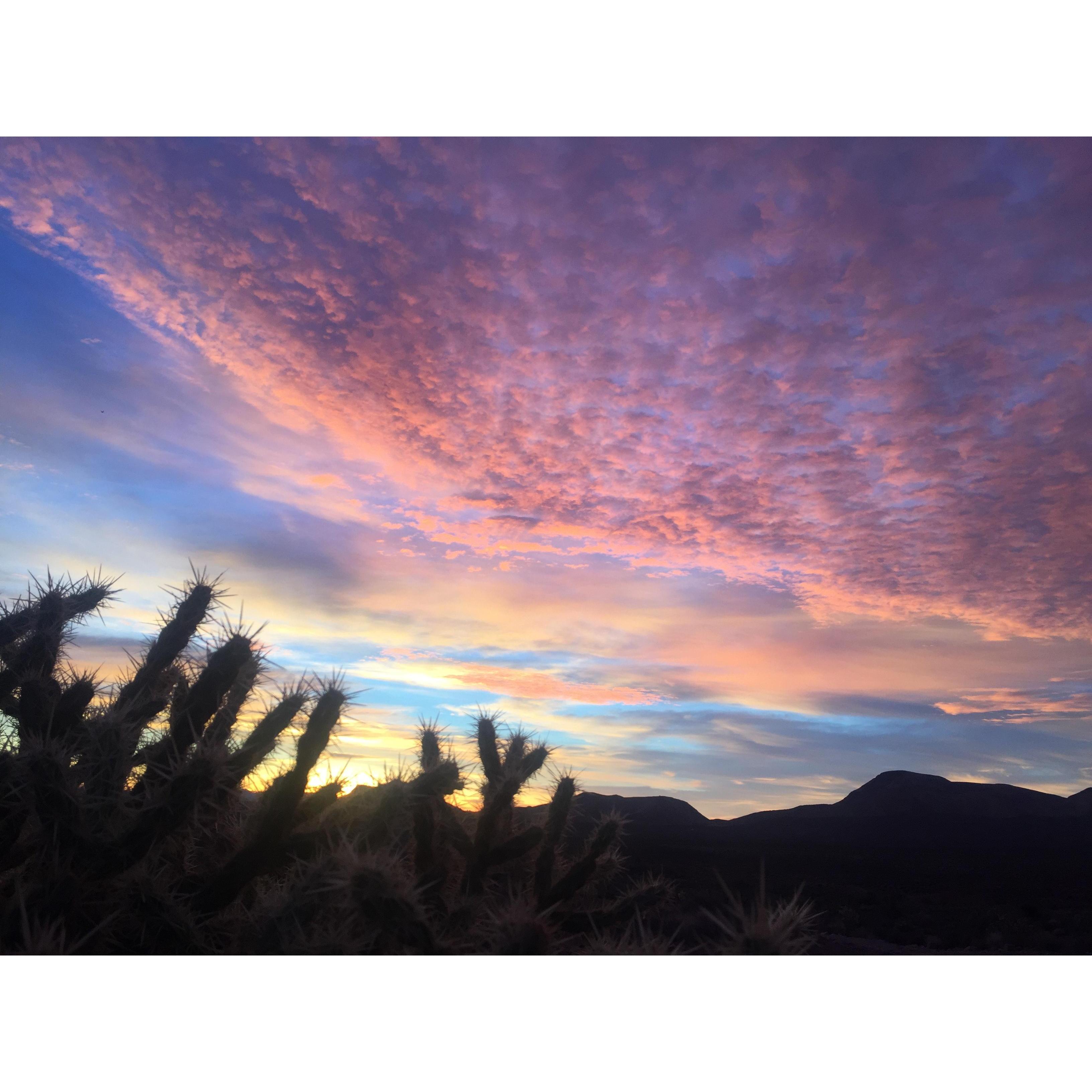 sunrise in the dessert