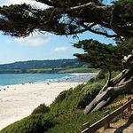 Carmel Beach