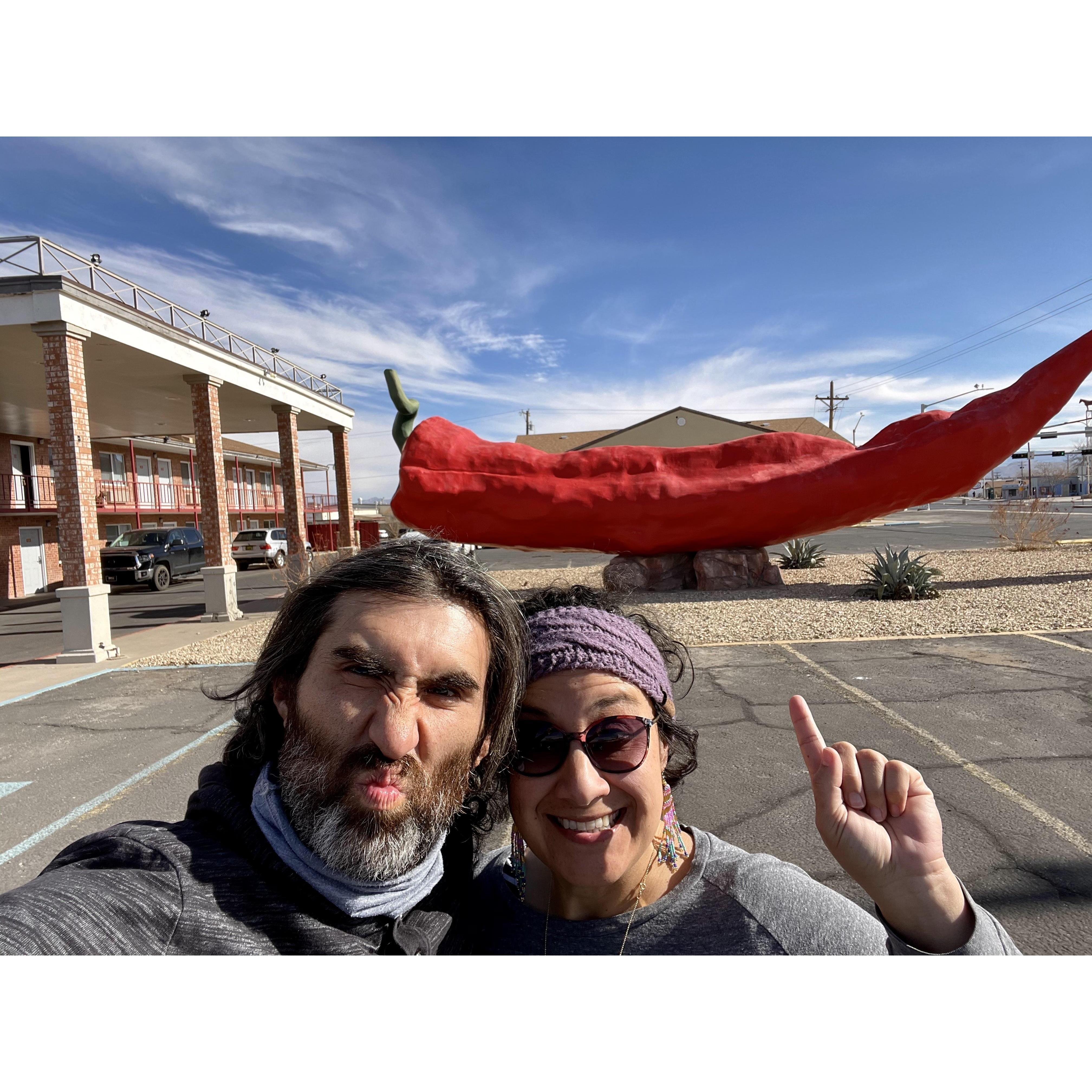 New Mexico. We've logged thousands of miles on our road trips and we're just getting started!