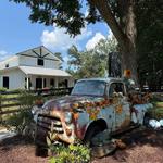 Nutwood Winery Tasting Room & Vineyard Cafe