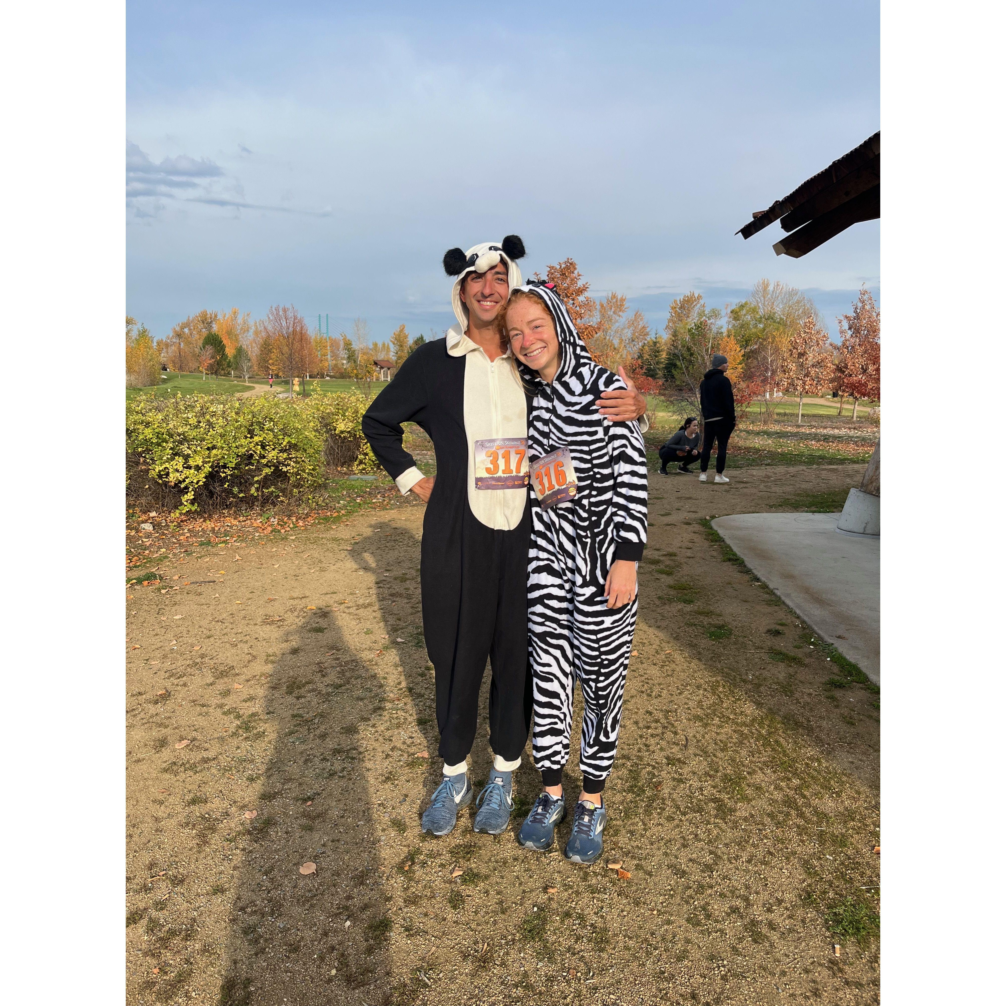 A zebra kicking a panda;s butt in a community 5k