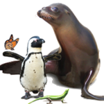 Long Island Aquarium