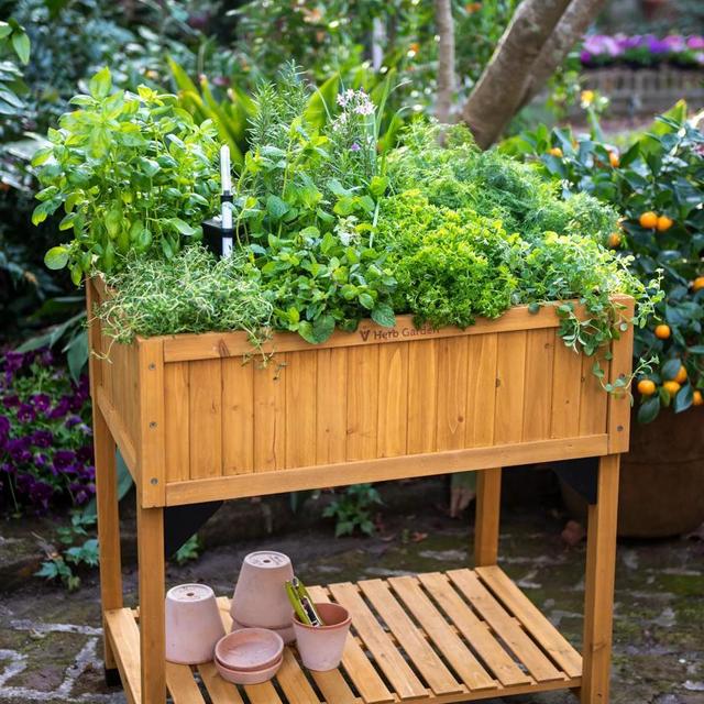 VegTrug® Self-Watering Herb Planter Box