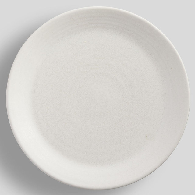Larkin Reactive Glaze Stoneware Dinner Plates - Set of 4