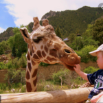 Cheyenne Mountain Zoo