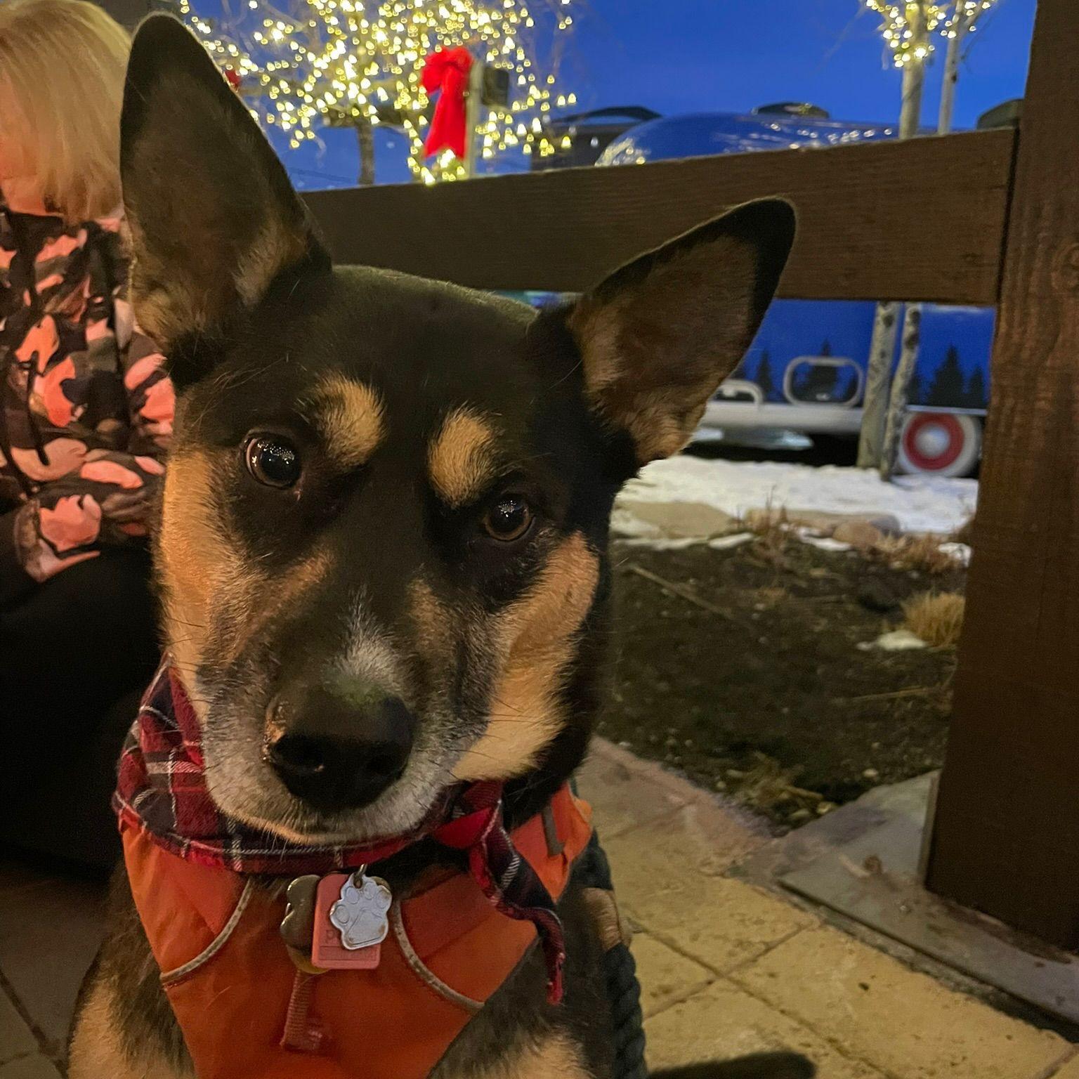 Felicai wonderig why we left the house to see fireworks