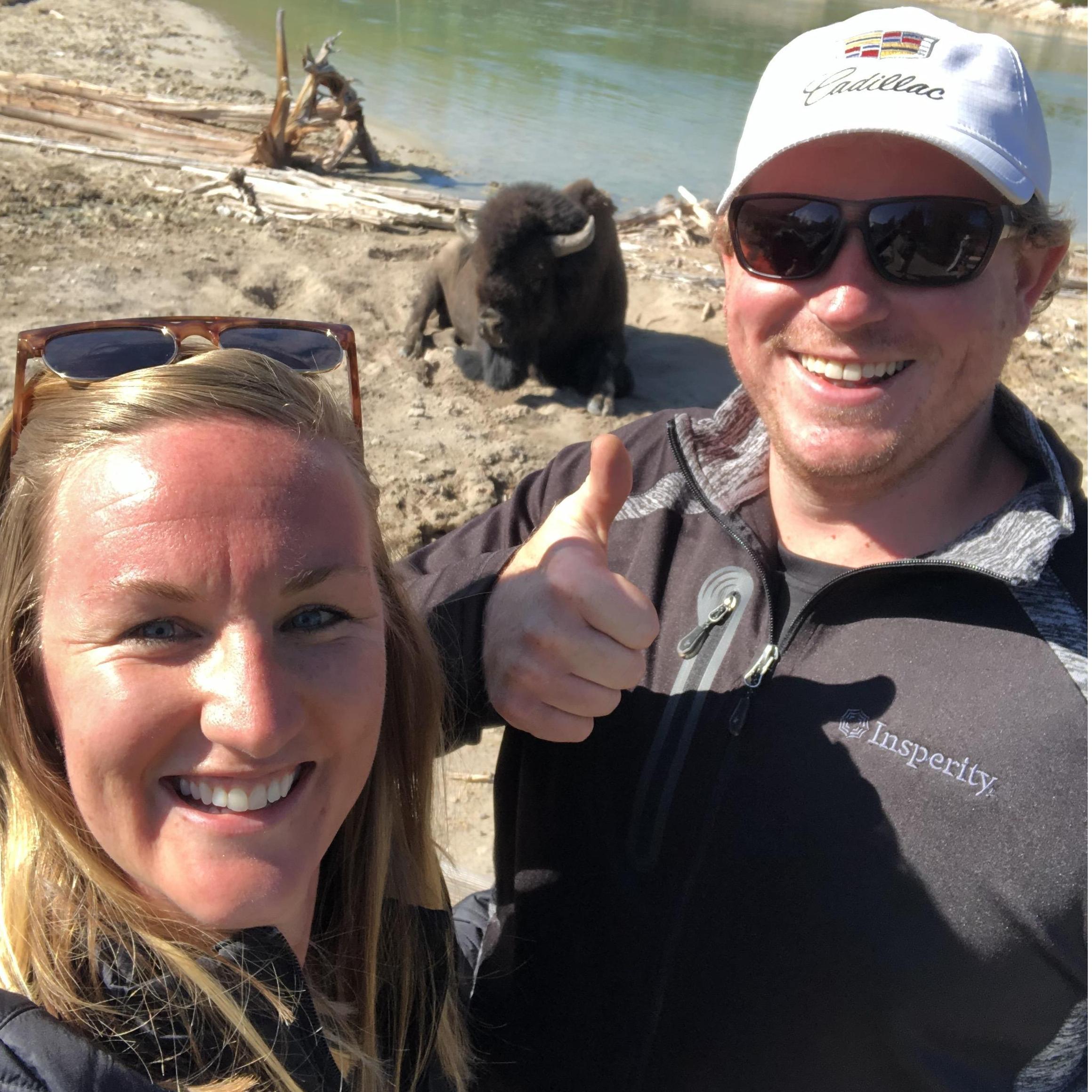 Hanging out with our Bison friend in Yellowstone!
