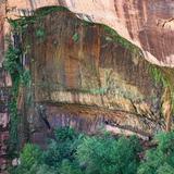 Weeping Rock Trail