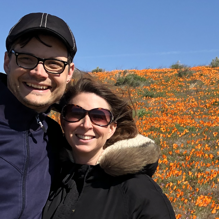 Poppies 2019