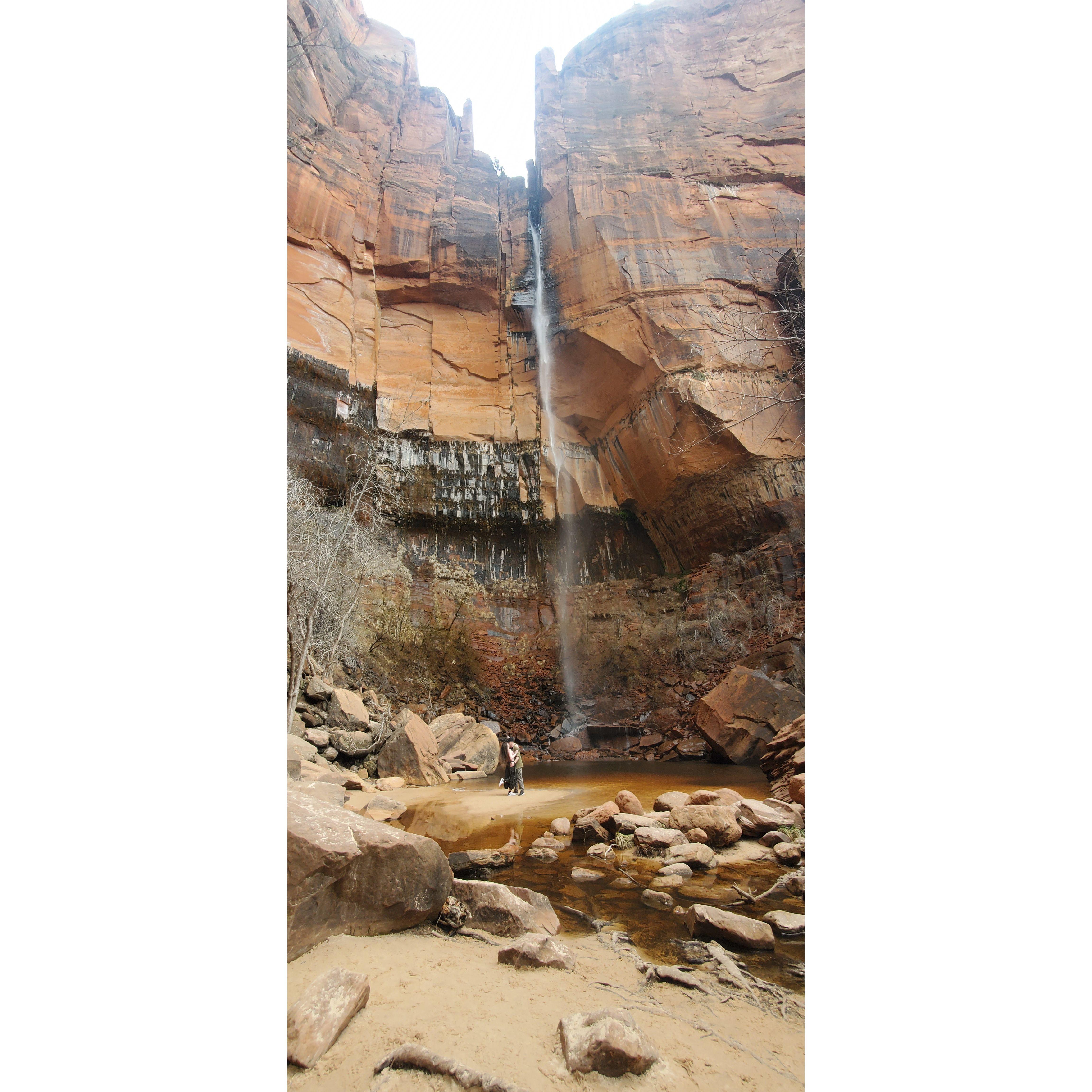 Photo Courtesy of Andi Quintero || Location: Zion National Park, Utah