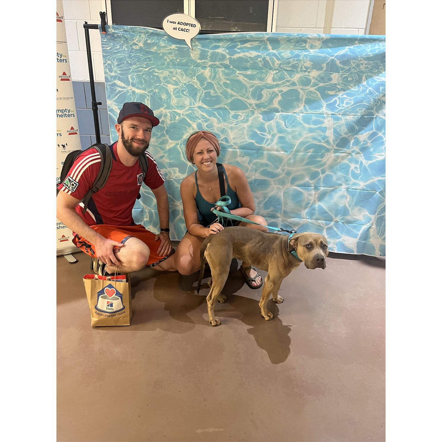 Beef's adoption day!
