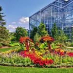 Frederik Meijer Gardens & Sculpture Park