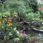 Minnesota Landscape Arboretum