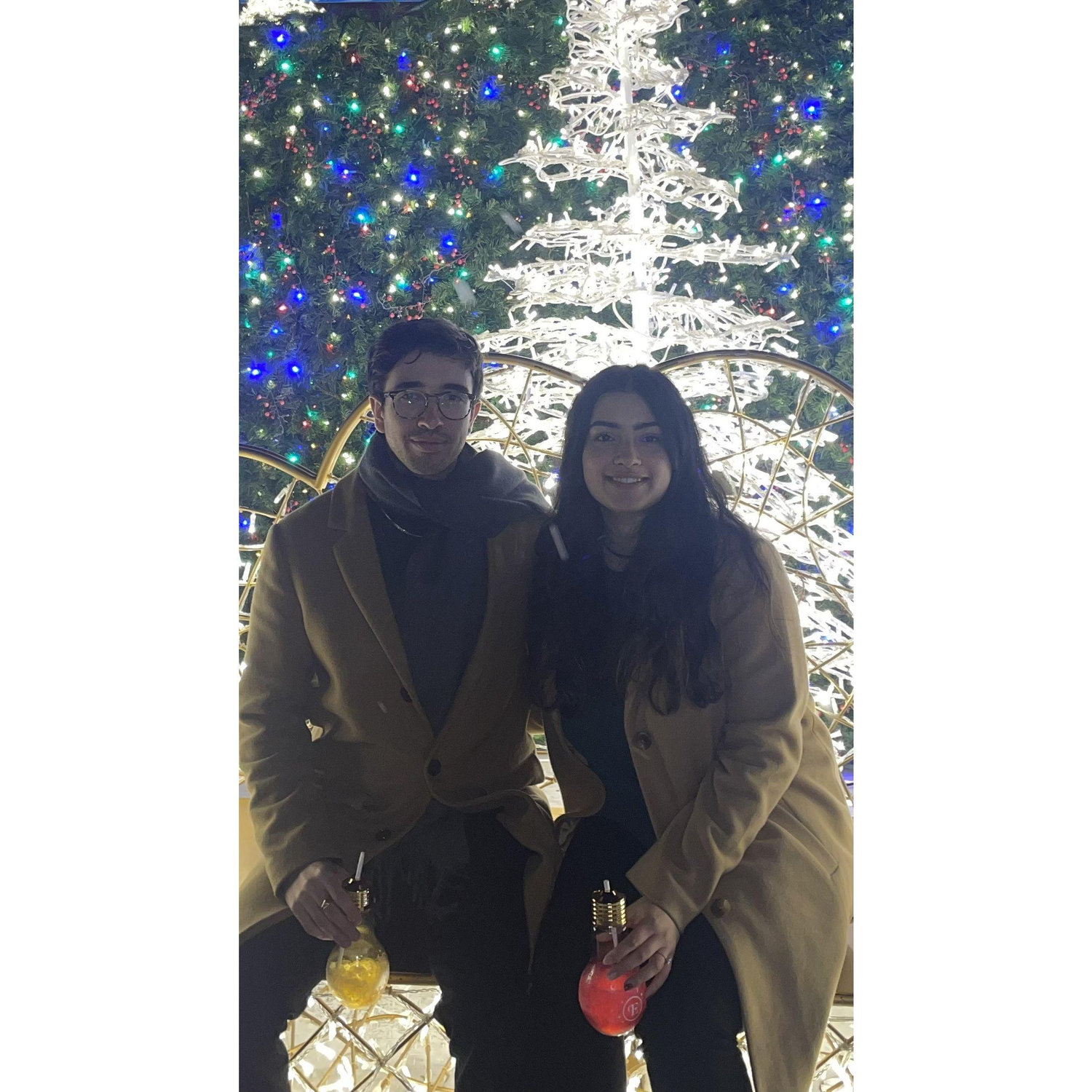A trip to a Christmas light display in Washington DC
