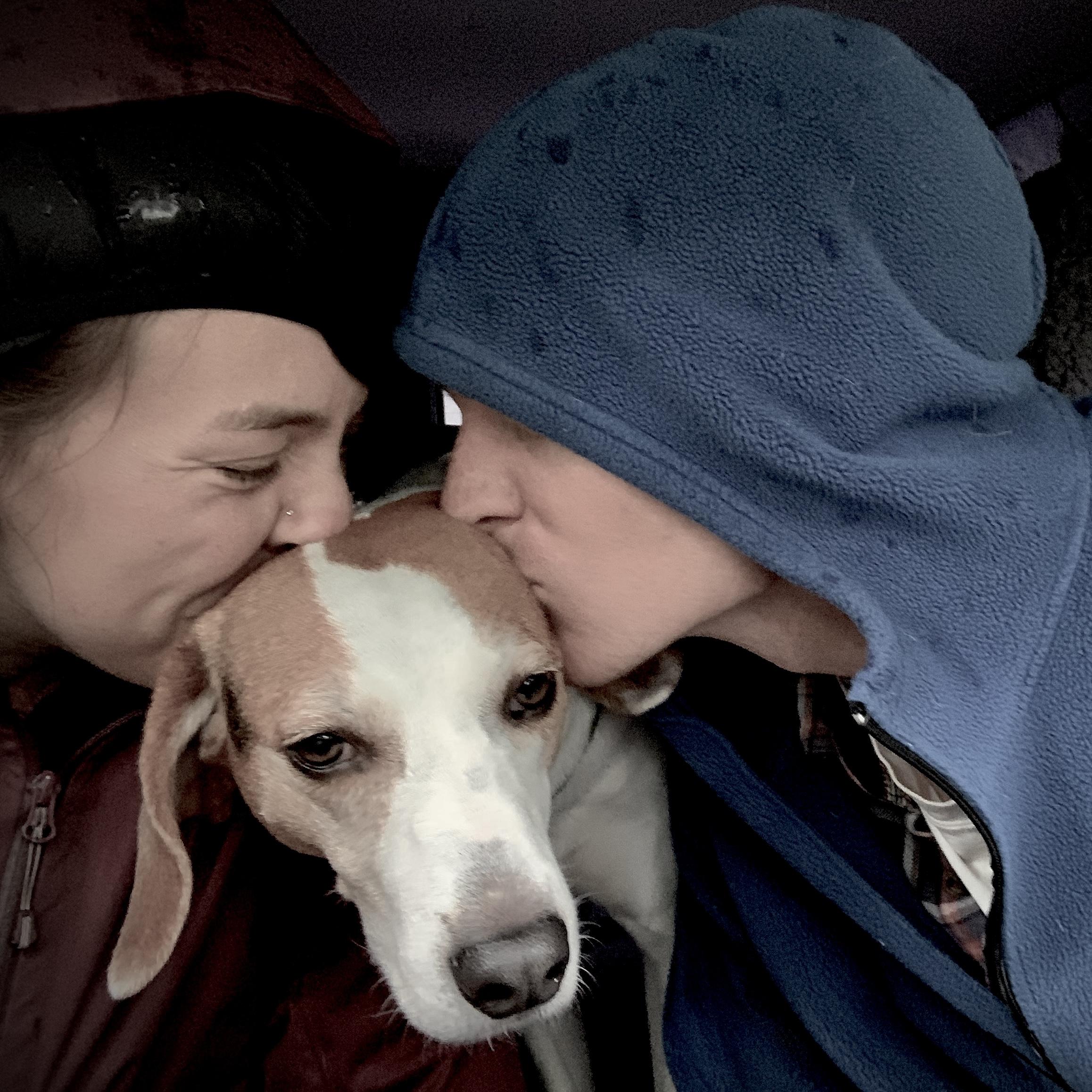 On a roadtrip with our best friend Banjo.