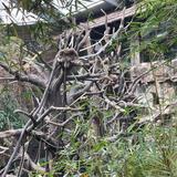 Omaha's Henry Doorly Zoo and Aquarium