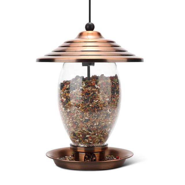 Realead Bird Feeder, Wild Bird Feeder for Outside,Metal and Glass Bird Feeder 3 lbs Seed Capacity, Outdoor Hanging for Garden Yard，Easy to Clean