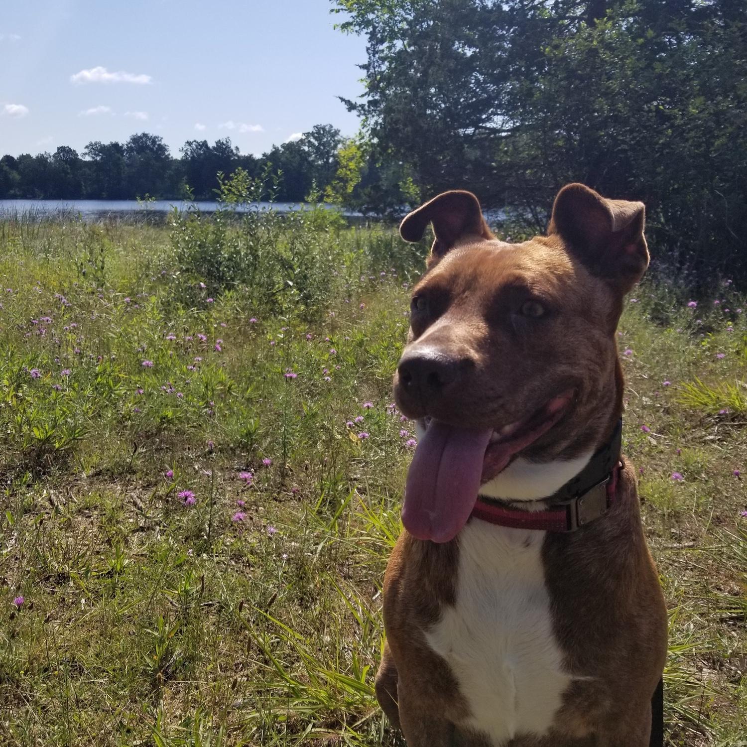 Just a kona pic