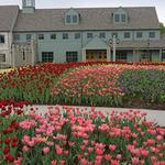 Minnesota Landscape Arboretum