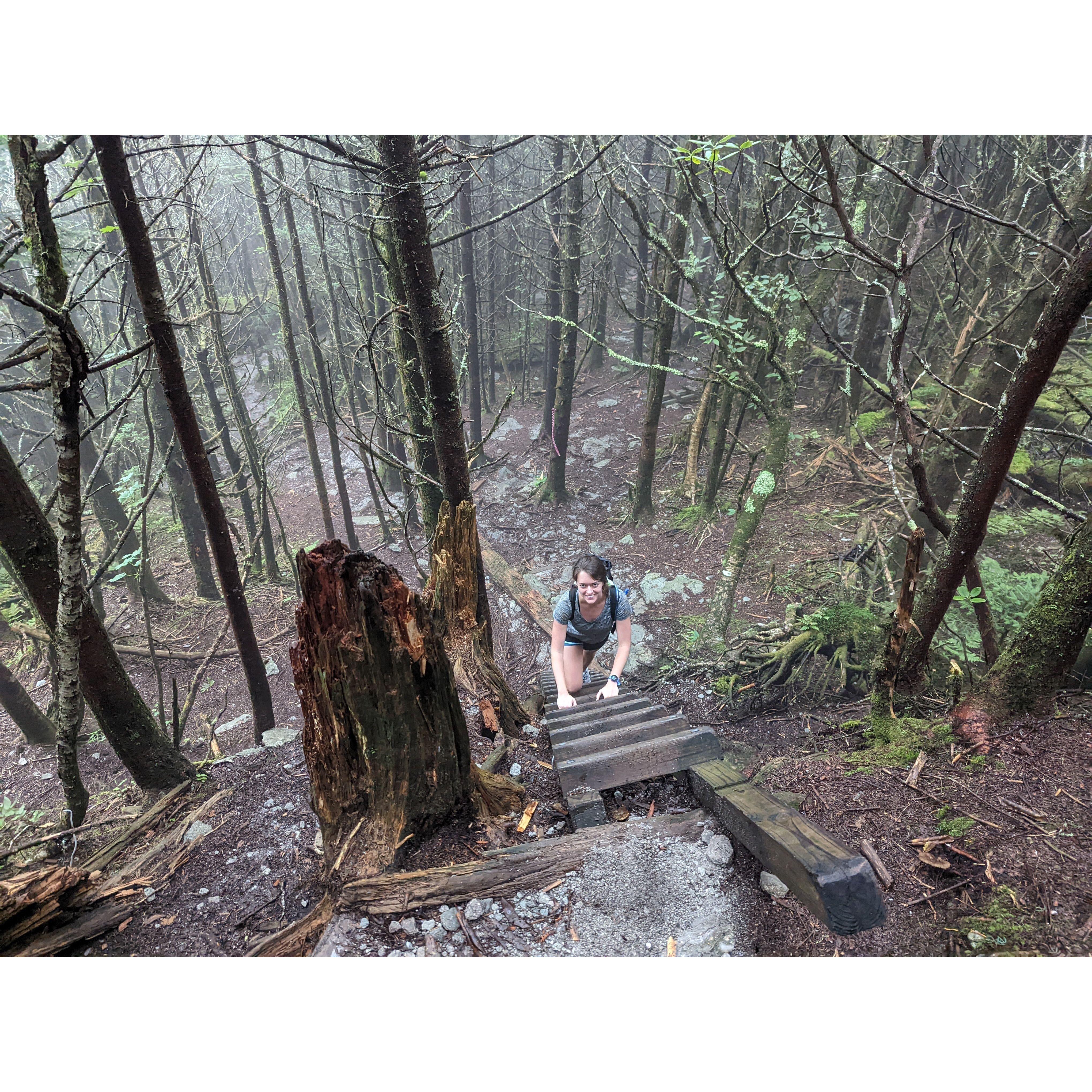 Climbing the ladders at Grandfather Mountain, which is not merely a "strenuous" trail, but an "advanced" one - August 2022