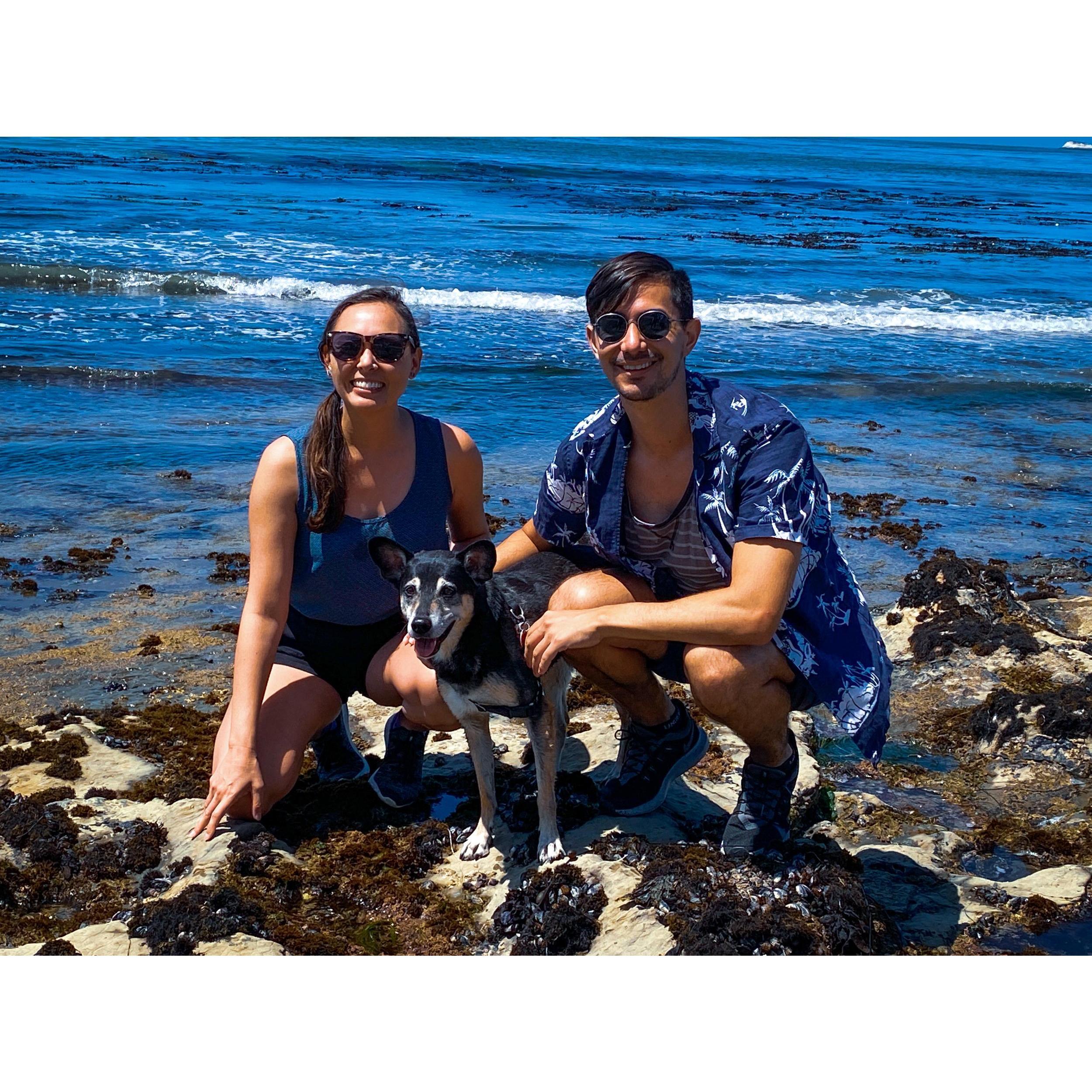 Pismo Beach, 2020