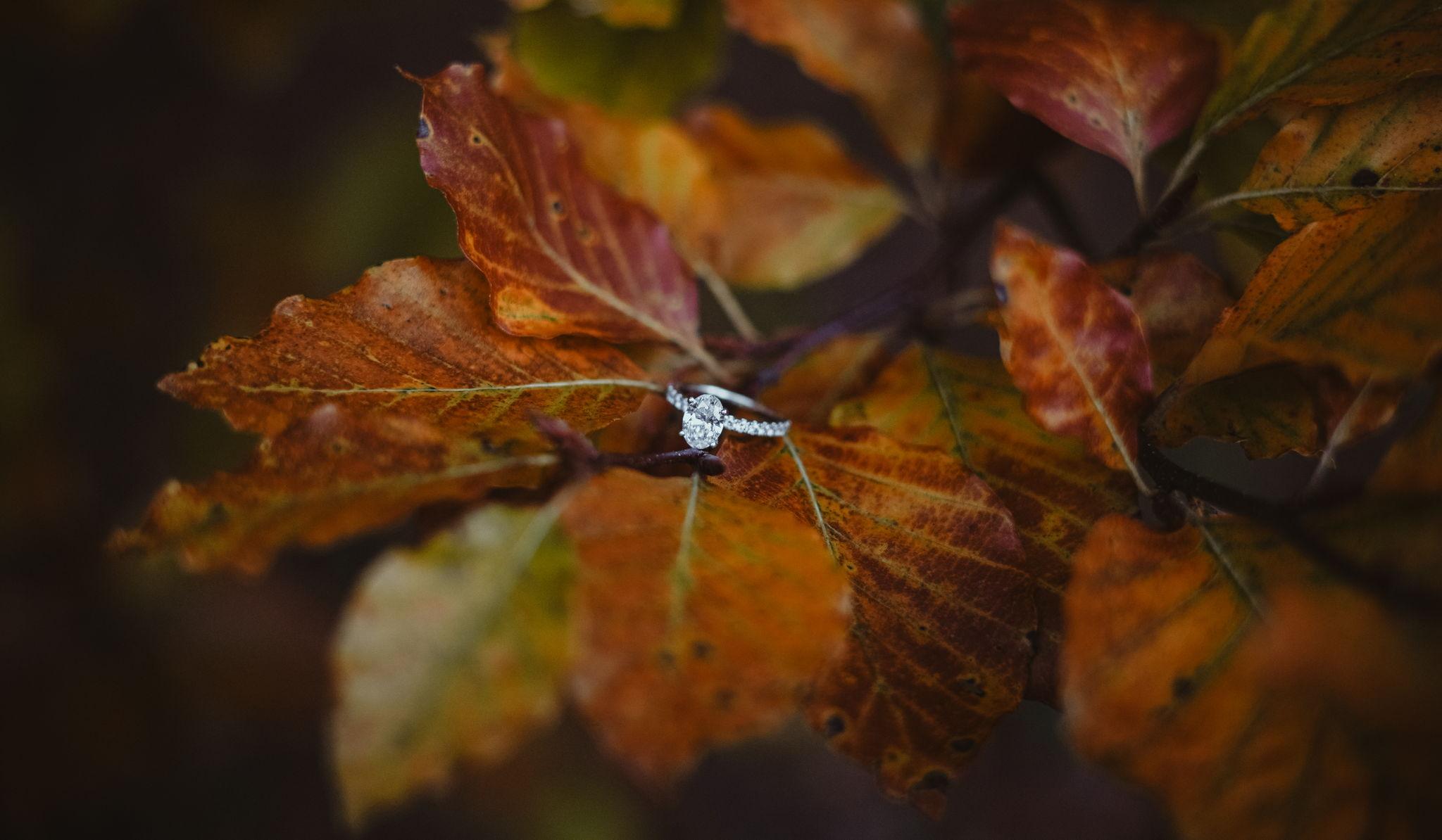 Hero Slideshow Image 2