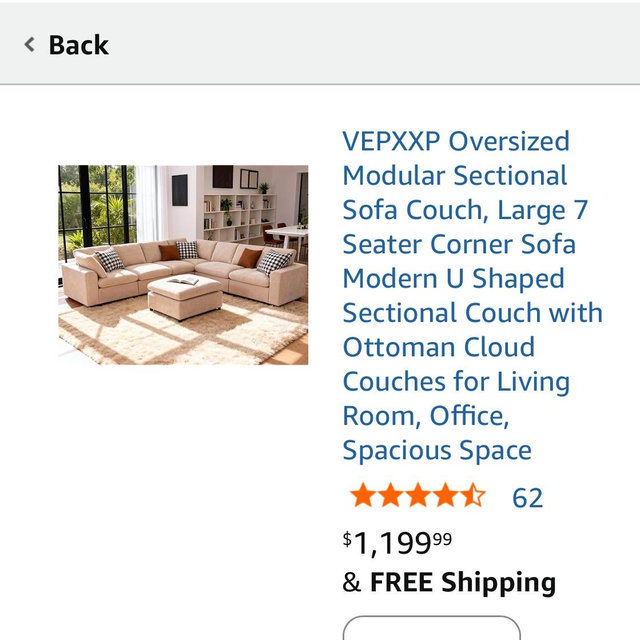 Sectional Couch