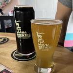 Fly Llama Brewing