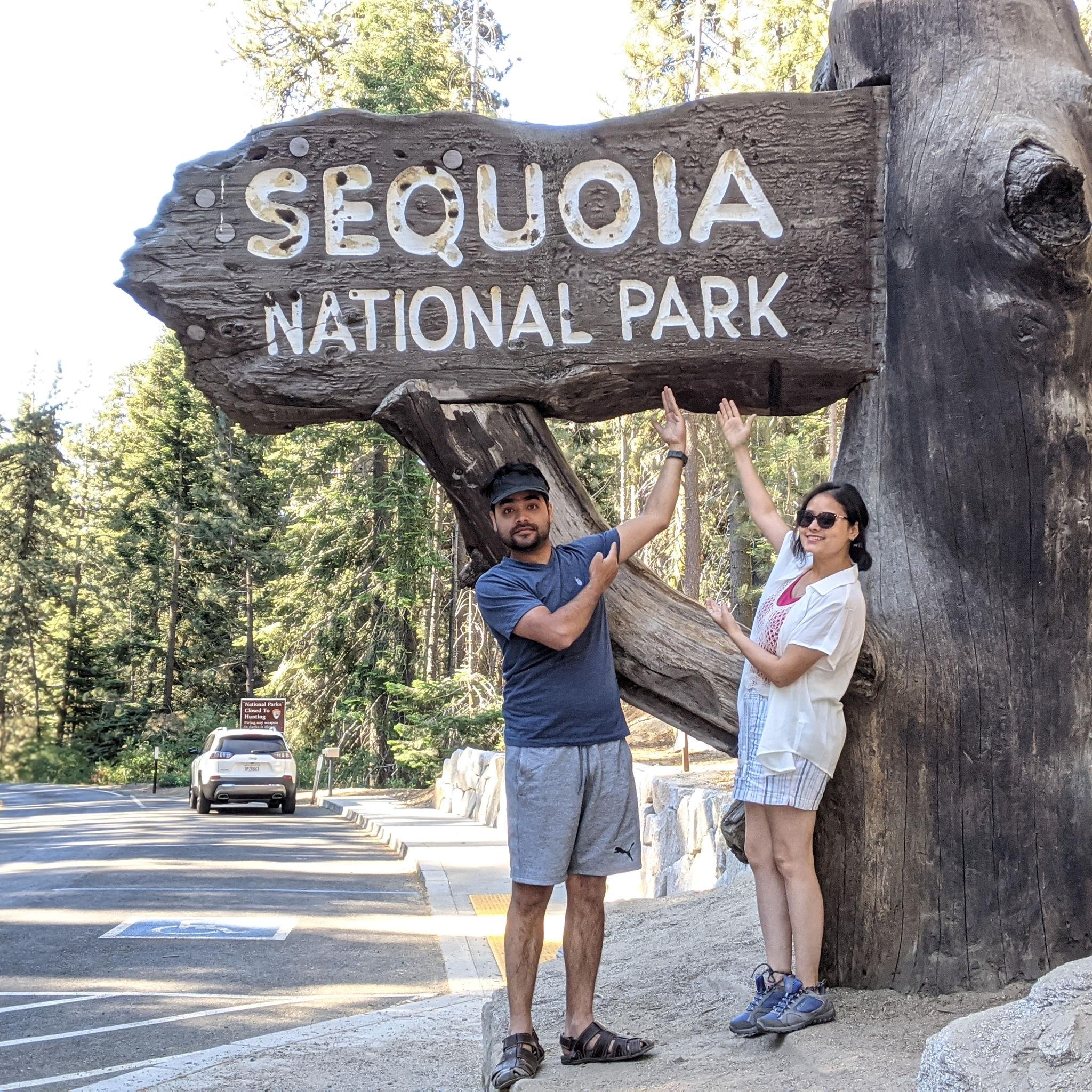 Here we are! at Sequoia!!
