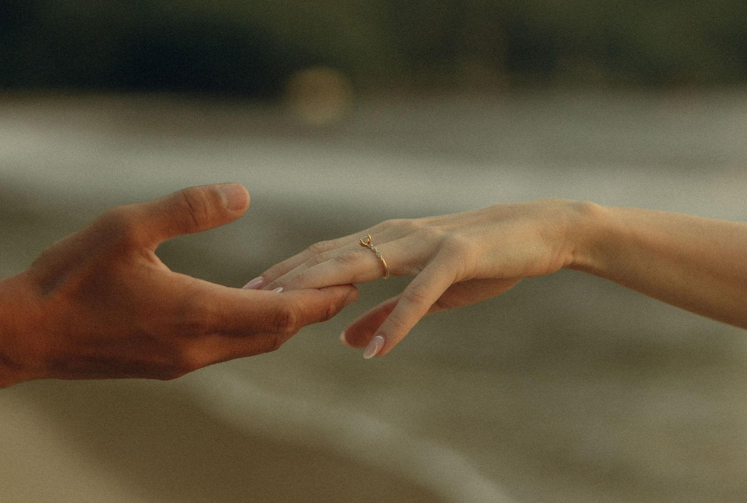 The Wedding Website of Kasey Carlton and Samuel Nishimiya