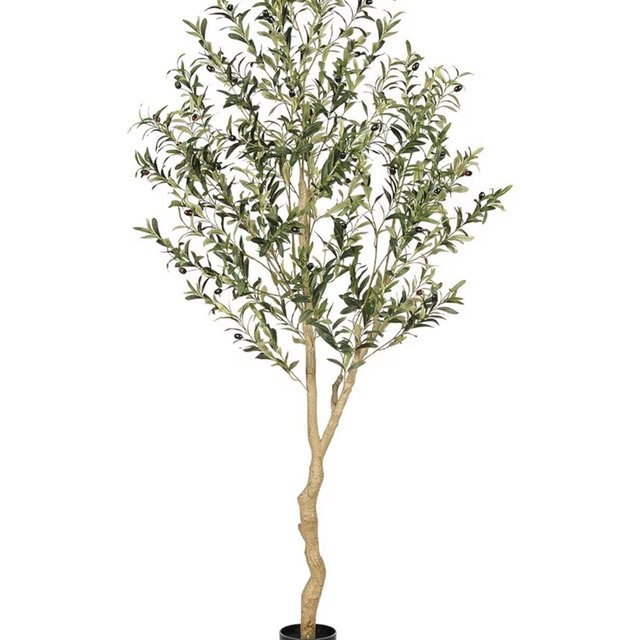 Realead Faux Olive Tree 6ft - Tall Olive Trees Artificial Indoor with Natural Trunk and Lifelike Leaves - Fake Olive Tree with Pot for Modern Home Office Living Room Decor
