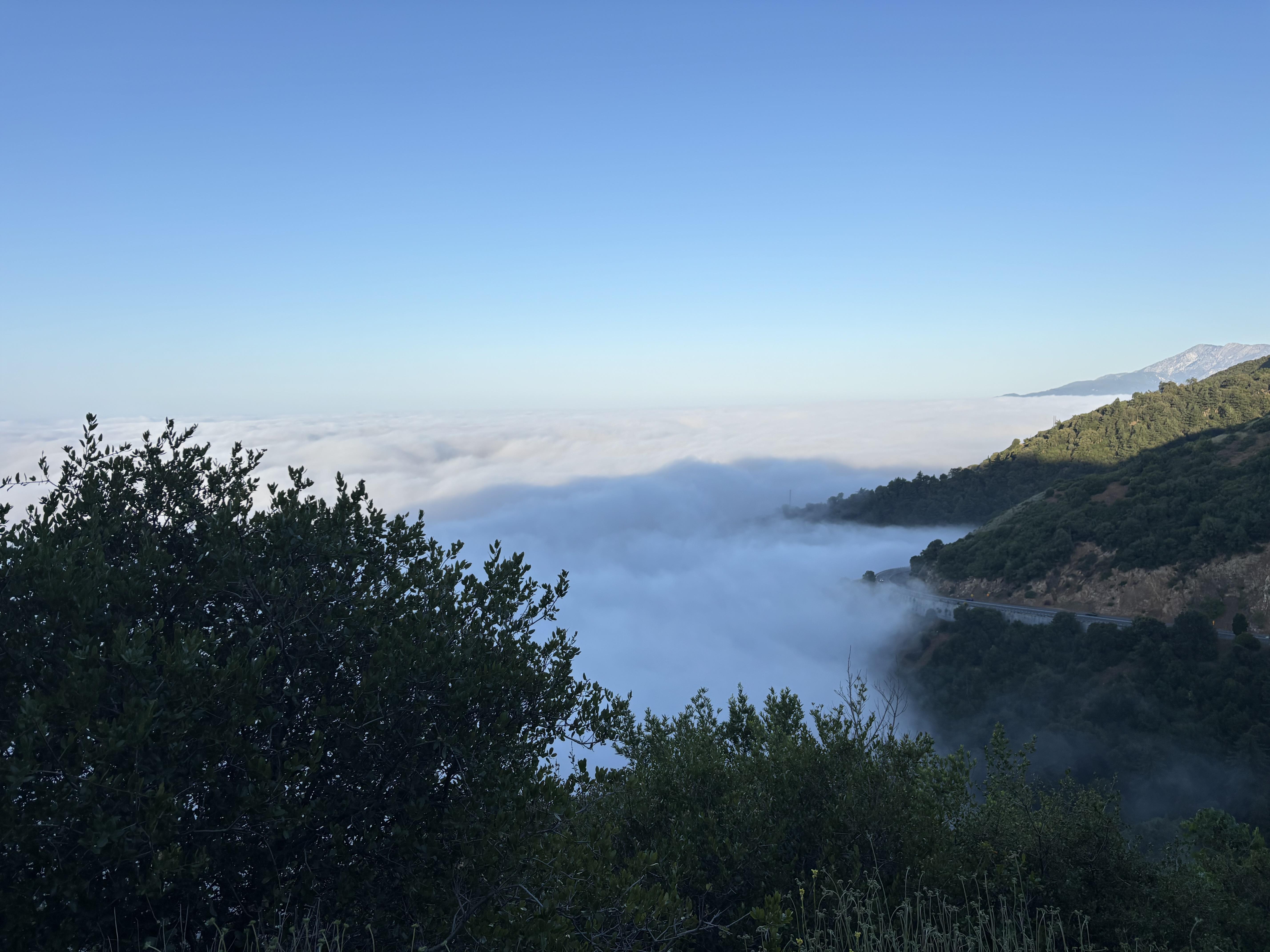 The Wedding Website of Sherry Gonzalez and Ernesto Gutierrez