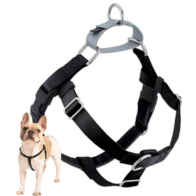 2 Hounds Design Freedom No Pull Dog Harness, Adjustable Harness, Easy Walking & Comfortable Control, Fits Small, Medium & Large Dogs, Solid Colors, Made in USA, 1" XL, Black