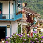 Jardín