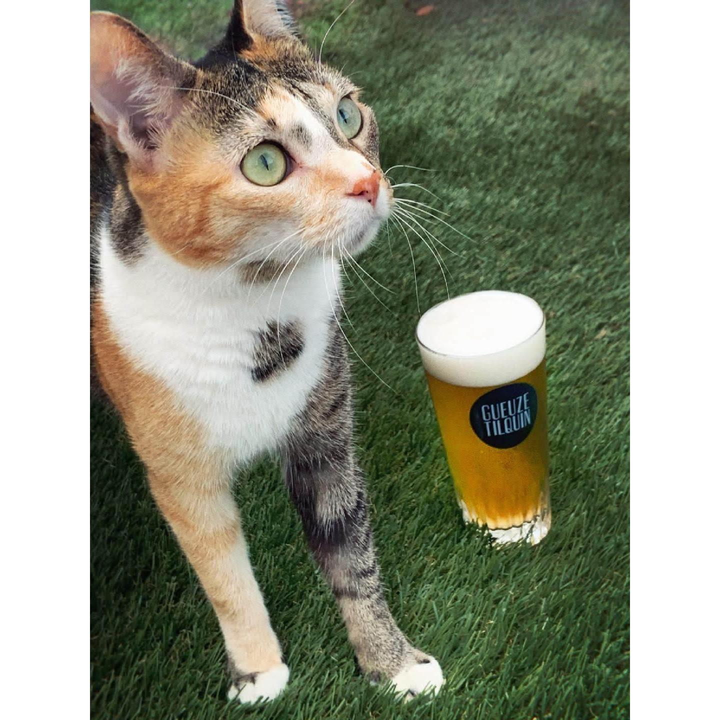 Ariana will often help model the beers.