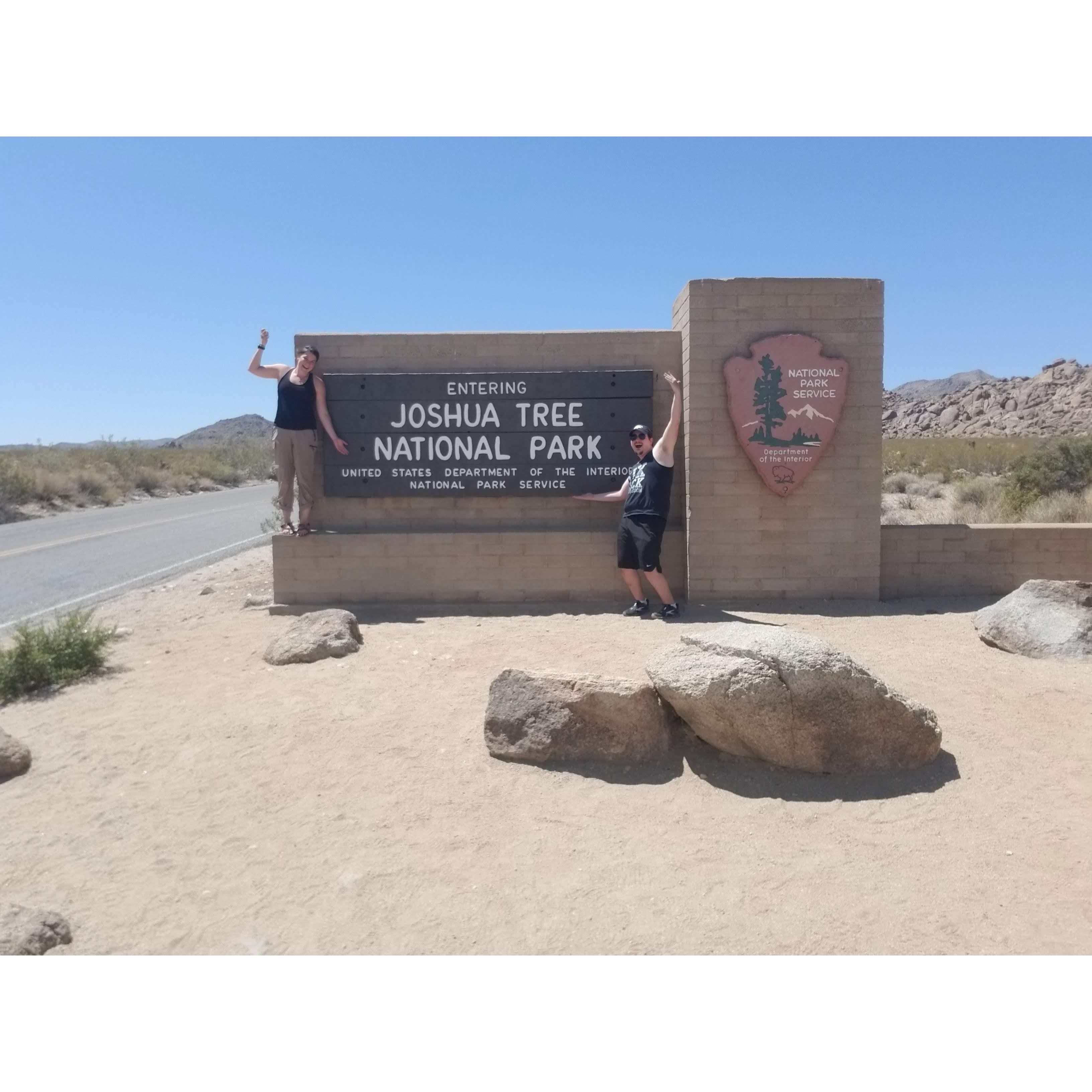Joshua Tree National Park, CA, (2023)