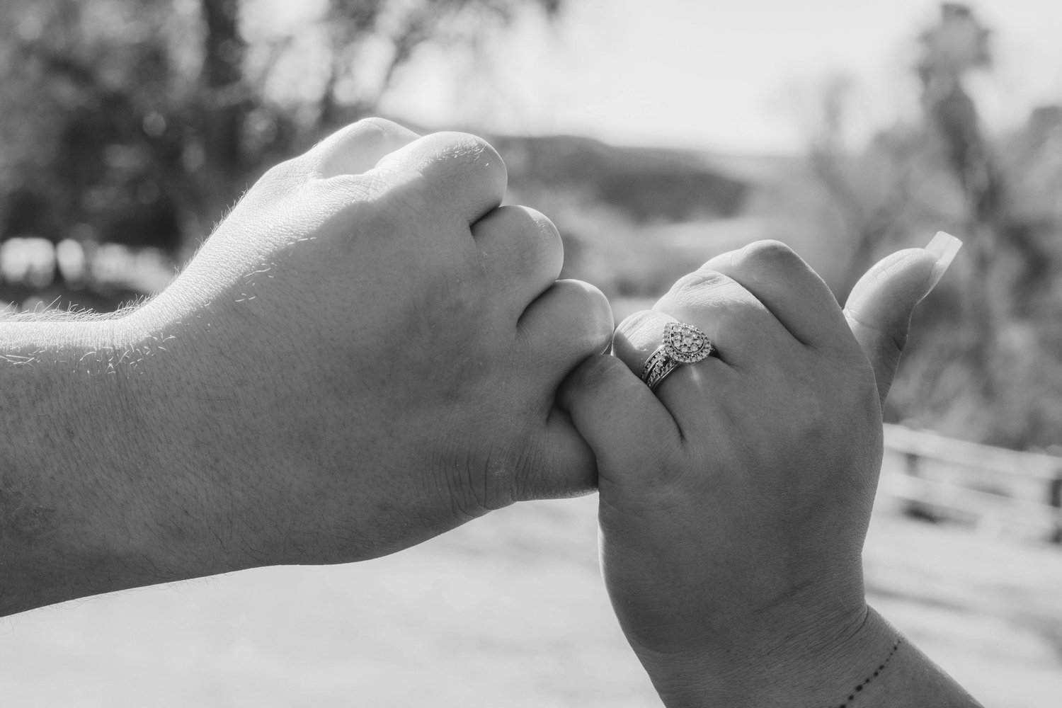The Wedding Website of Adriana Fimbres and David Spicer